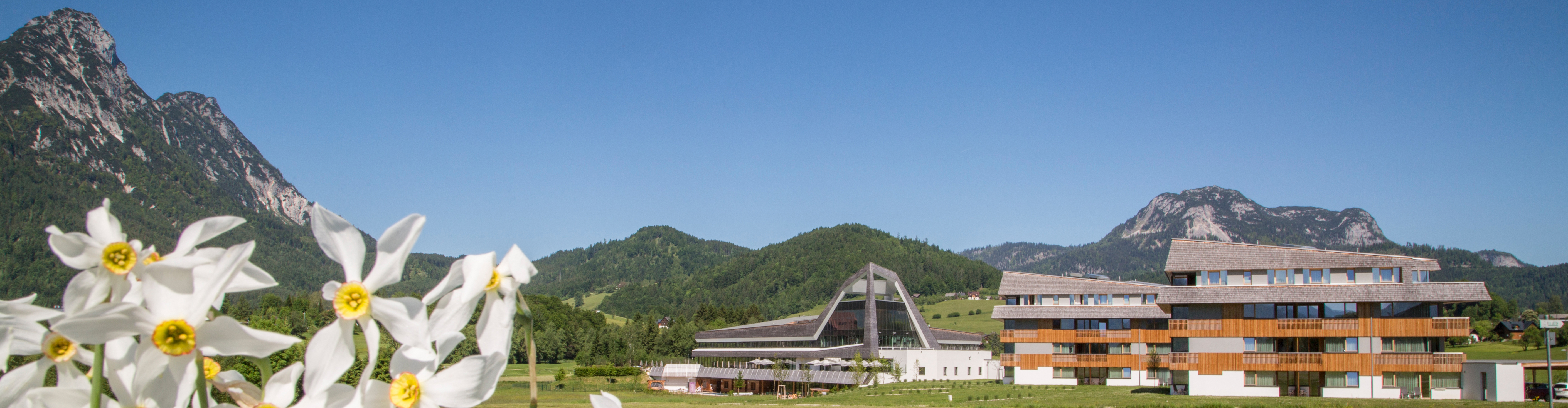 Resort Narzissen T Kujat Header Content 1920x500