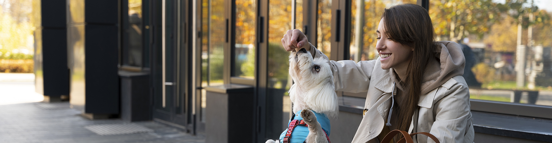 Smiley Woman Feeding Dog Full Shot